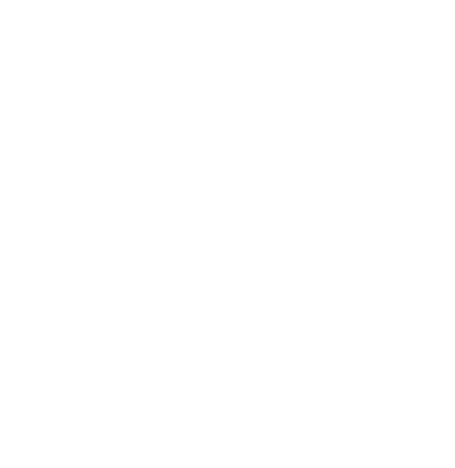 BM Śladewska