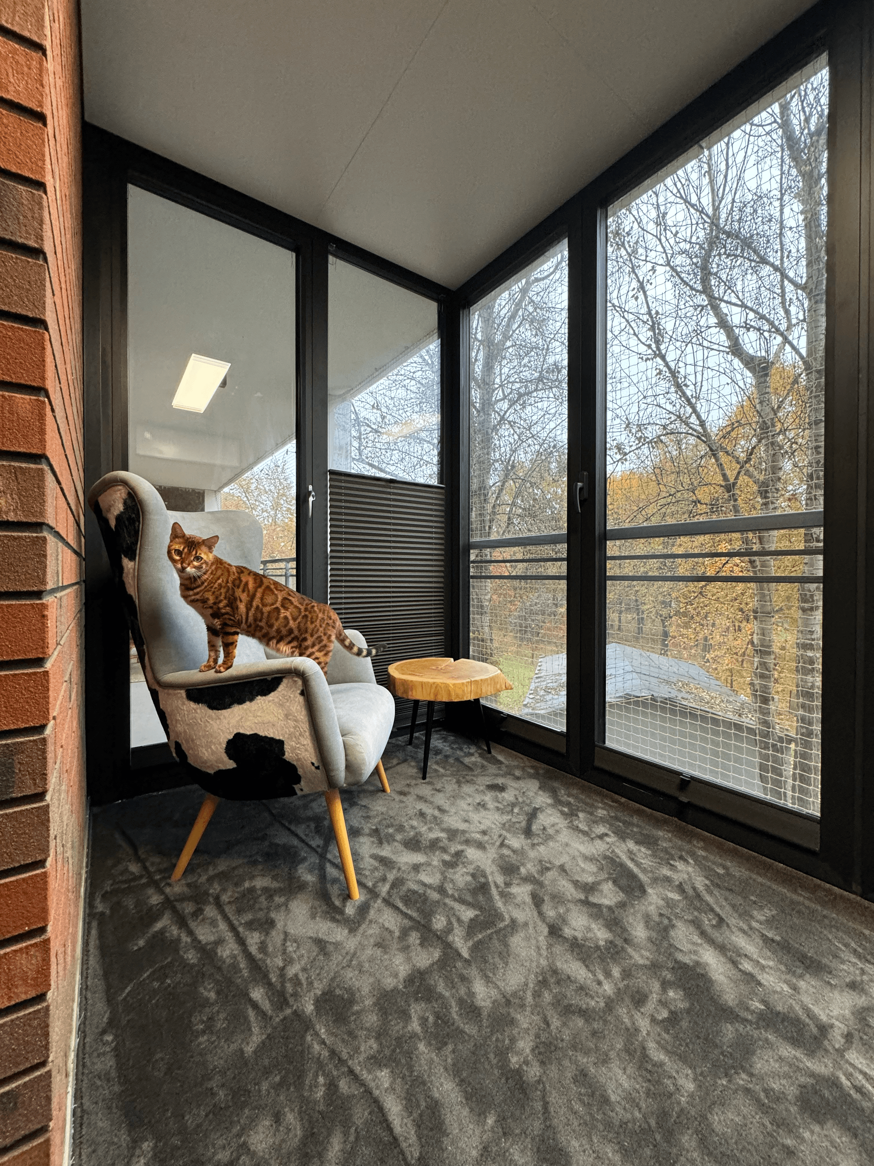 Aluminiowy ogród zimowy, ocieplenie podłogi, sufitu i ścian, aluminiowe okna balkonowe.